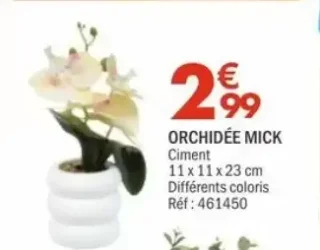Orchidée Mick