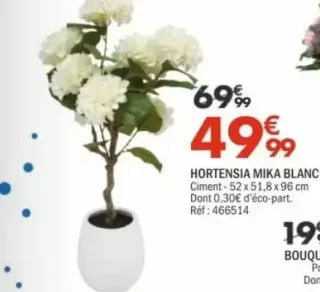 Hortensia Mika Blanc