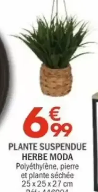 PLANTE SUSPENDUE HERBE MODA