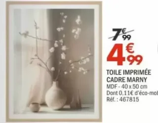 TOILE IMPRIMÉE CADRE MARNY
