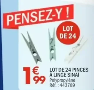 LOT DE 24 PINCES À LINGE SINAÏ Polypropylène