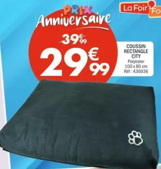 Coussin Rectangle City
