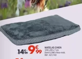 Matelas Chien