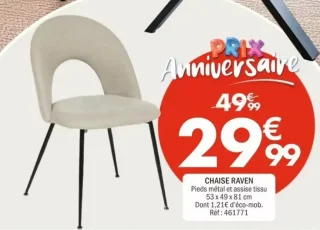CHAISE RAVEN
