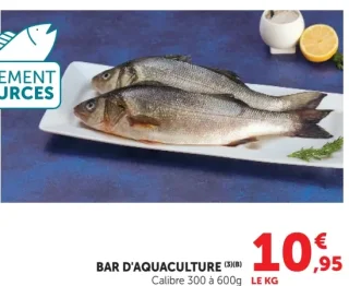 Bar d'Aquaculture