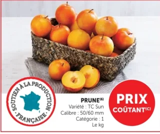 Prune