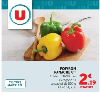 Poivron Panache U