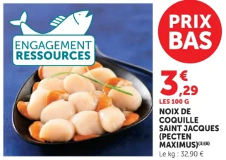 Noix de coquille Saint Jacques (Pecten Maximus)
