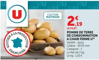 Pomme de terre de consommation à chair ferme U