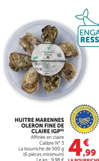 Huître Marennes Oléron fine de claire IGP