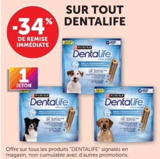 Gamme Dentalife