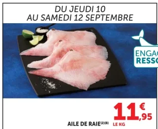 Aile de raie