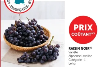 Raisin Noir
