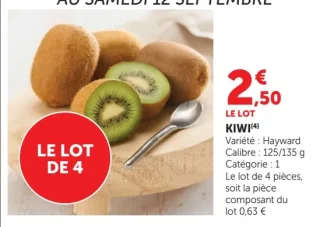 Kiwi de 4 pièces