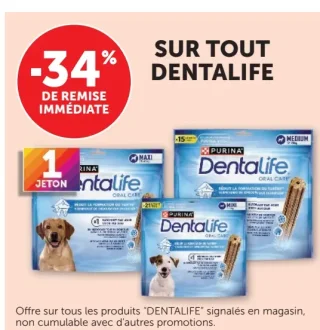 Friandises pour chien Purina Dentalife