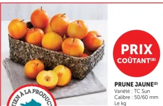Prune Jaune TC Sun