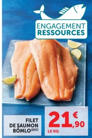 Filet de saumon Bömlo