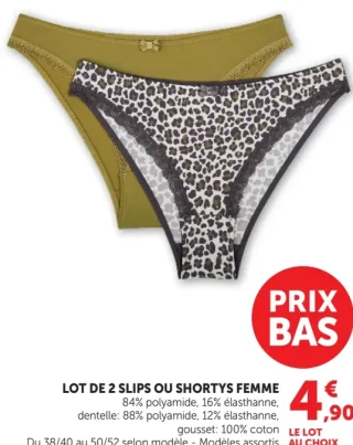 LOT DE 2 SLIPS OU SHORTYS FEMME