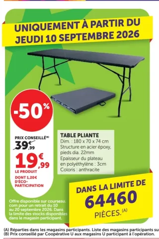 TABLE PLIANTE