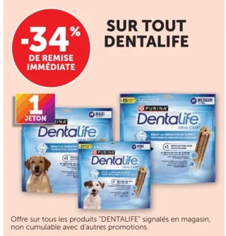 Hygiène bucco-dentaire pour chiens Purina Dentalife