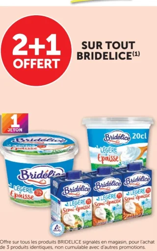 SUR TOUT BRIDELICE
