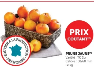 Prune jaune TC Sun
