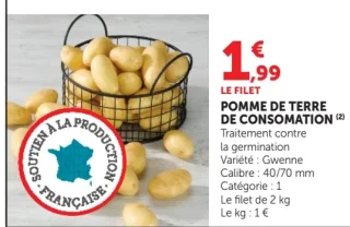 Pomme de terre de consomation Gwenne