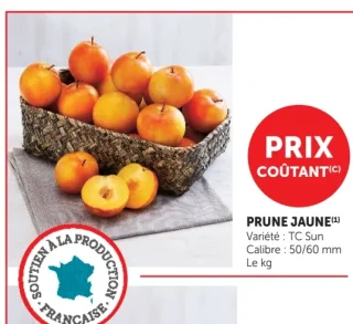 Prune Jaune