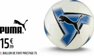 BALLON DE FOOT PRESTIGE T5