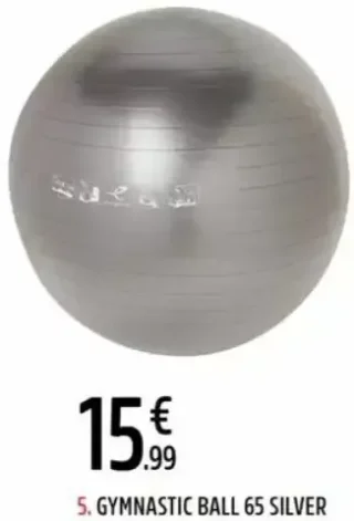 Gymnastic Ball 65 Silver Energetics