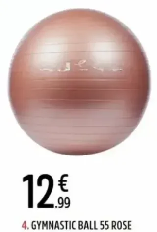 Gymnastic Ball 55 Rose Energetics