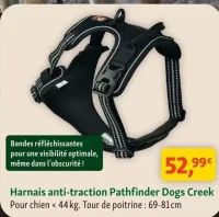 Harnais anti-traction Pathfinder Dogs Creek