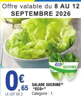 Salade sucrine "Eco+"
