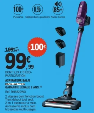 Aspirateur balai Rowenta RH6822WO