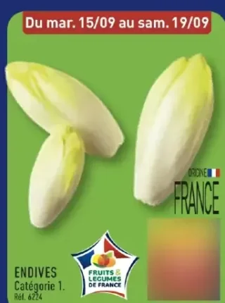 Endives Catégorie 1
