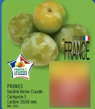 PRUNES Variété Reine-Claude. Catégorie 1.