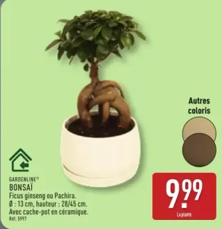 Bonsaï Gardenline