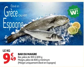 Bar ou Maigre