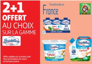 Bridélice Crème Légère / Épaisse