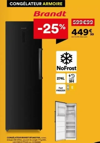 Congélateur Armoire Brandt BFU862YNA