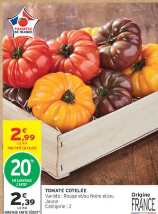 TOMATE COTELÉE
