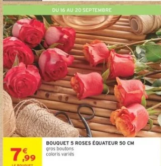BOUQUET 5 ROSES ÉQUATEUR 50 CM