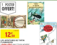 LES AVENTURES DE TINTIN FLAMMARION
