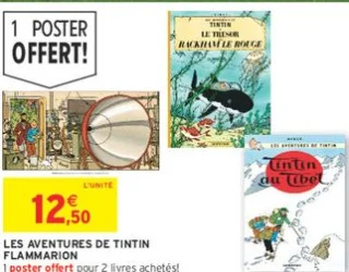 LES AVENTURES DE TINTIN FLAMMARION