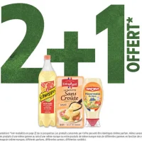 Boissons Schweppes, Fromage La Raclette Sans Croûte Entremont, Mayonnaise Amora
