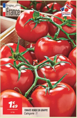 Tomate ronde en grappe 