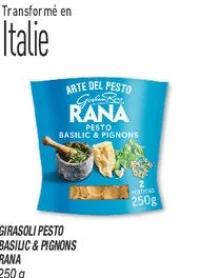 Girasoli pesto basilic & pignons