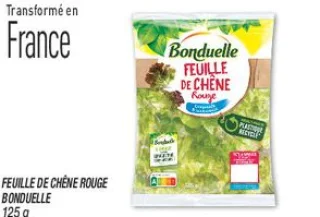 Feuille de chêne rouge 