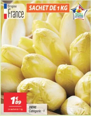 Endive 