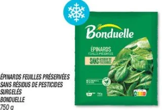 Épinards feuilles préservées sans résidus de pesticides surgelés 